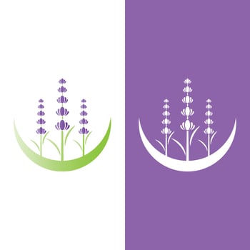 Fresh Lavender flower logo vector