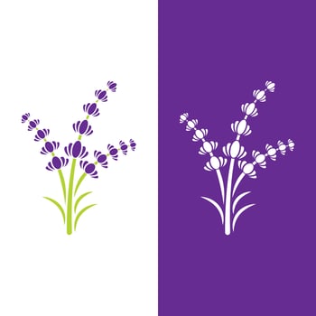 Fresh Lavender flower logo vector