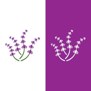 Fresh Lavender flower logo vector