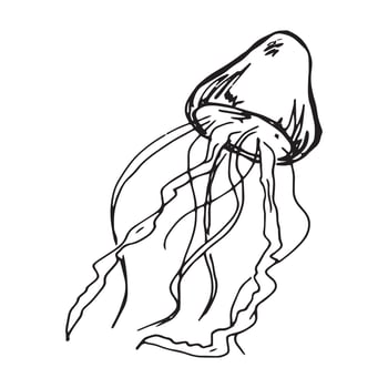 Vector hand drawn jellyfish illustration. Cute medusa sketch isolated on white background. For print, web, greeting card, design, decor.