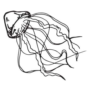 Vector hand drawn jellyfish illustration. Cute medusa sketch isolated on white background. For print, web, greeting card, design, decor.
