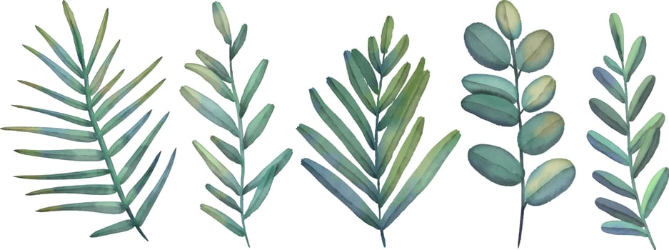 Set of watercolor tropical branch isolated on white background. Hand drawn watercolor illustration. Green leaves and branch vector