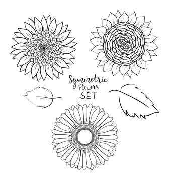 Floral symmetric summer flowers set. Hand drawn gerbera, sunflower, Outline Vector illustration on white background. Collection for pattern,template,banner, posters, invitation, greeting card design.