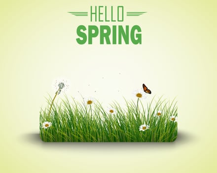 Green grass with flowers and butterflies isolated background vector