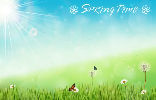 Spring background with butterflies and dragonfly in meadow vector