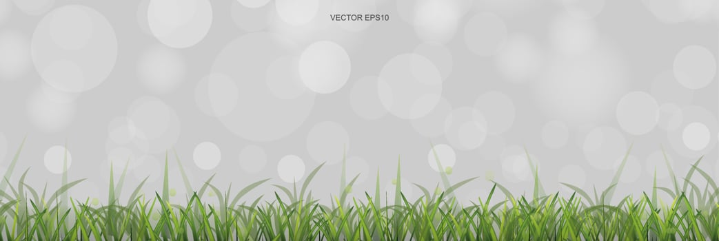 Green grass field with light blurred bokeh background. Vector. vector