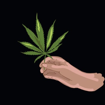 Hand with marijuana leaf isolated on black background, hand drawn cartoon realistic style, hemp icon. Medical marijuana, cannabis leaf in human hand vector