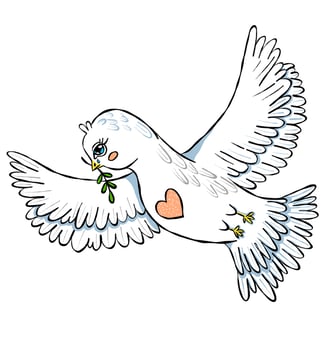 White peace pigeon vector