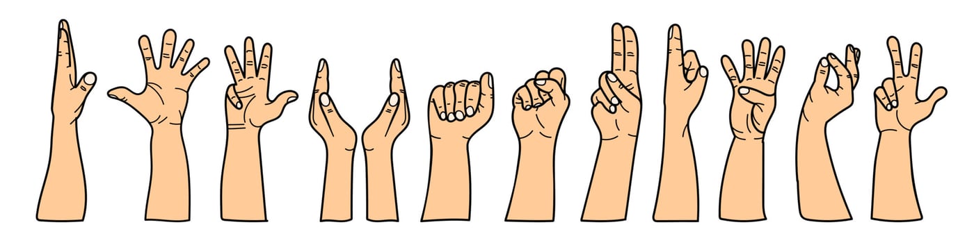 Hands with different gestures set. For use on textiles, packaging paper, souvenirs, printing, posters, postcards. vector