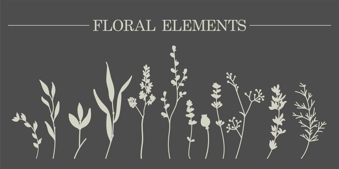 Hand-drawn sketch of vector plant elements of laurels, leaves, flowers, branches. Suitable for invitations, greeting cards, quotes, blogs, wedding frames, posters. Vector illustration