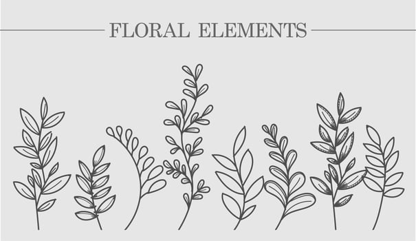 Flower collection of branches of leaves and botany. For wedding invitations, postcards, posters, labels of cosmetics and perfumes, packaging paper. Vector illustration