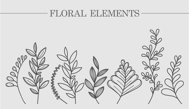 Flower collection of branches of leaves and botany. For wedding invitations, postcards, posters, labels of cosmetics and perfumes, packaging paper. Vector illustration