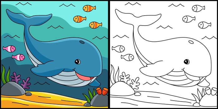 Whale Coloring Page Colored Illustration vector