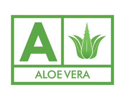 Aloe vera logo template illustration vector