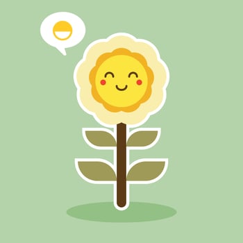 happy sunflower character mascot flat design vector illustration
