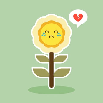 happy sunflower character mascot flat design vector illustration
