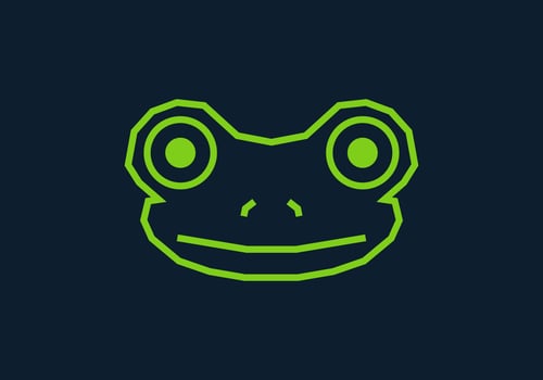 Unique frog head in straight lines style vector