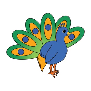 cartoon peacock art vector