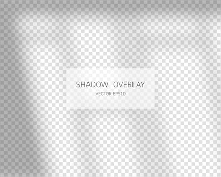 Shadow overlay effect. Natural shadows from window isolated on transparent background. Vector illustration.