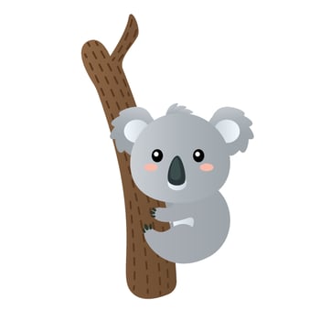 Australian animal koala cartoon vector illustration isolated object