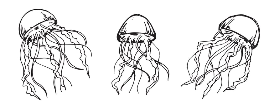 Vector set of hand drawn jellyfish illustration. Cute medusa sketch isolated on white background. For print, web, greeting card, design, decor.