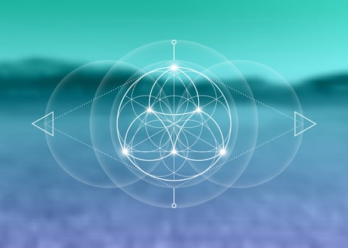 Sacred Geometry, Flower of Life, lotus flower mandala. White logo Symbol of Harmony and Balance, Glowing Geometrical Ornament, yoga relax, vector isolated on blurred natural background