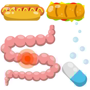 Intestine. Vector Human digestive system. Medical pill for indigestion.