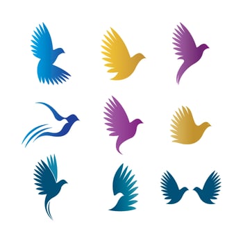 Dove Logo Template vector