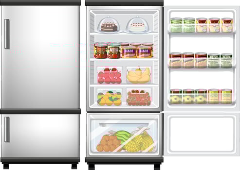 Refrigerator closed and opened door with lots of food vector