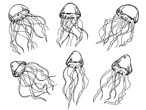 Vector set of hand drawn jellyfish illustration. Cute medusa sketch isolated on white background. For print, web, greeting card, design, decor.
