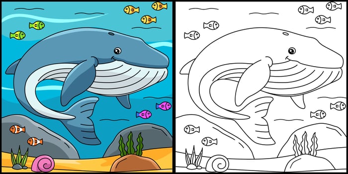 Blue Whale Coloring Page Illustration vector