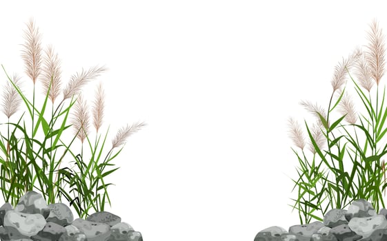 Hand drawn reed or pampas grass surrounded by gray stones. Cane silhouette on white background.  Border or frame of green plants. vector