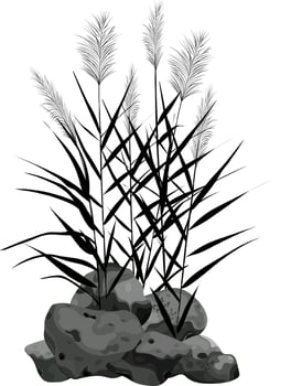 Hand drawn reed or pampas grass surrounded by gray stones. Cane silhouette on white background.  Border or frame of green plants. vector