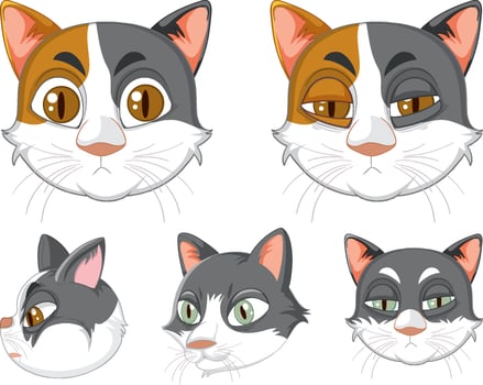 A set of cat's head on white background vector