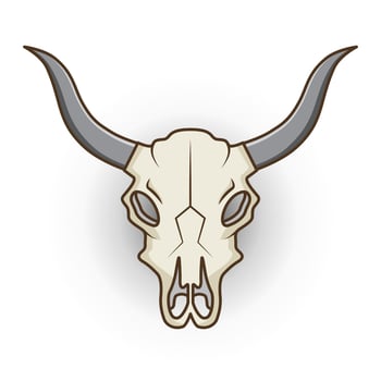 skull cow isolated in white vector