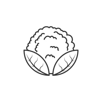 Outline icon of cauliflower illustration vector