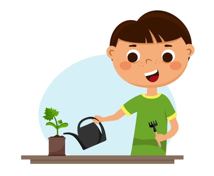 A cute boy is watering young plants. Children and a vegetable garden on the window. Vector illustration isolated on a white background
