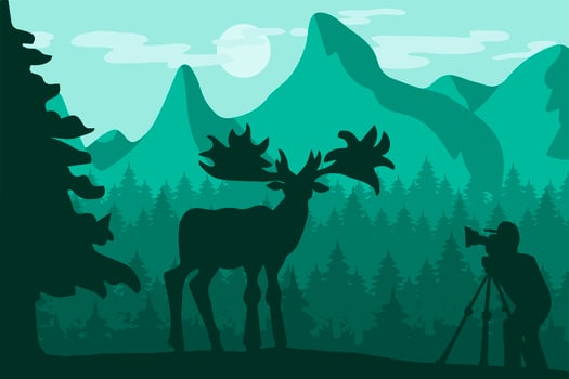 Wildlife, nature photographer flat vector illustration