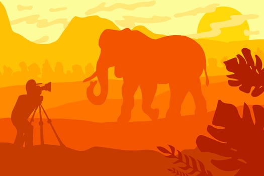 Wildlife, nature photographer flat vector illustration