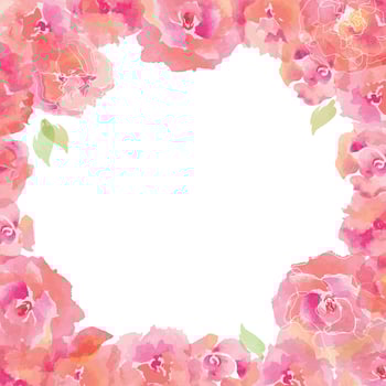 Rose watercolor square frame vector