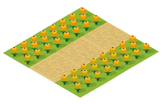 Isometric 3d illustration park trees forest nature vector