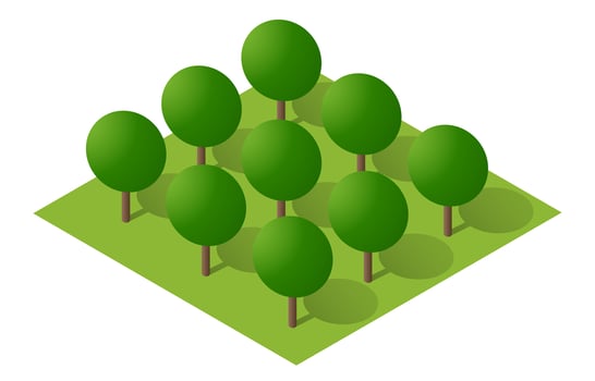 Isometric 3d illustration park trees forest nature vector