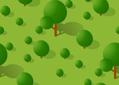 Seamless forest pattern map background. Isometric green botanical structure landscape of trees park vector