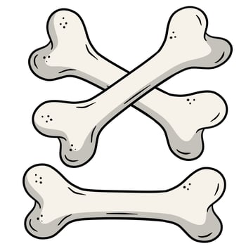 Human bone. Set of skeleton Elements. Dog toy vector