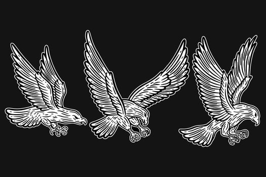 Set Eagle Bird Animal Wings Flying Hand Drawn For Tattoo and t-shirt art illustration vector