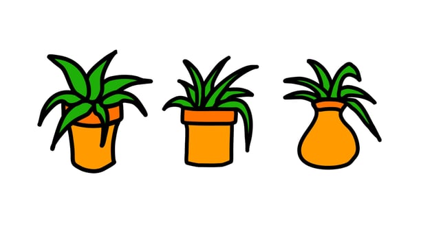 Plant in pot illustration vector