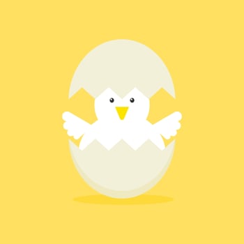 Cute vector cartoon illustration of baby chicken hatching from the egg. Funny and educational illustration. Chicken hatching. Cracked chick egg, hatch eggs and hatched easter chicks cartoon vector