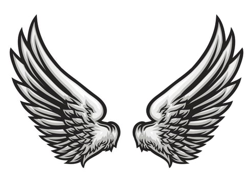 Hand Drawn Wing Vector Illustration