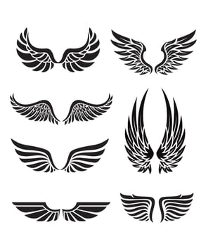 silhouette wings emblem collection vector