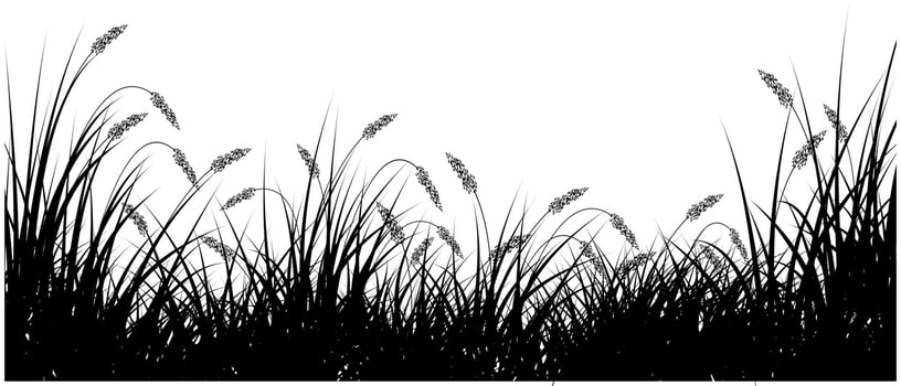 reeds flower silhouette banner vector